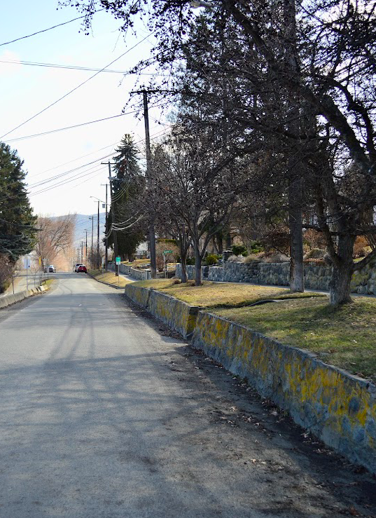 A photo taken of the infrastructure in downtown Kamloops to demonstrate how the strip of trees and grass provides a protective, natural barricade for pedestrians, thus promoting foot traffic and connectivity.